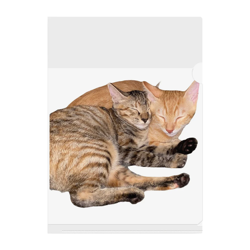 ChoboTora24の眠り猫ちゃん達 Clear File Folder