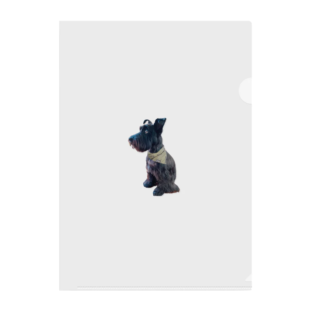 KURO のおすわりKURO シュナウザー 黒い犬 dog クロ クリアファイル