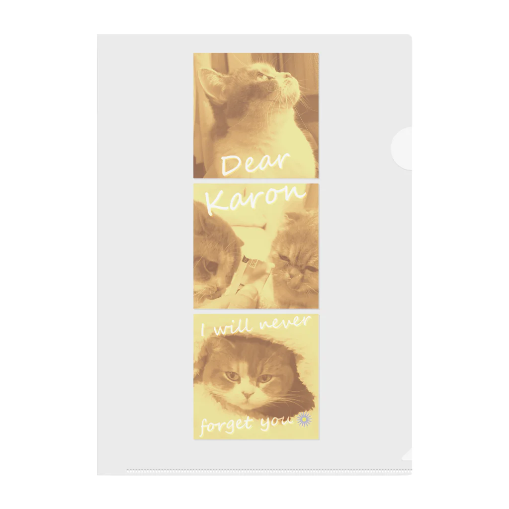 MolKaronの猫のＭｏｌとＫａｒｏｎ　虹の橋をわたった君へ Clear File Folder