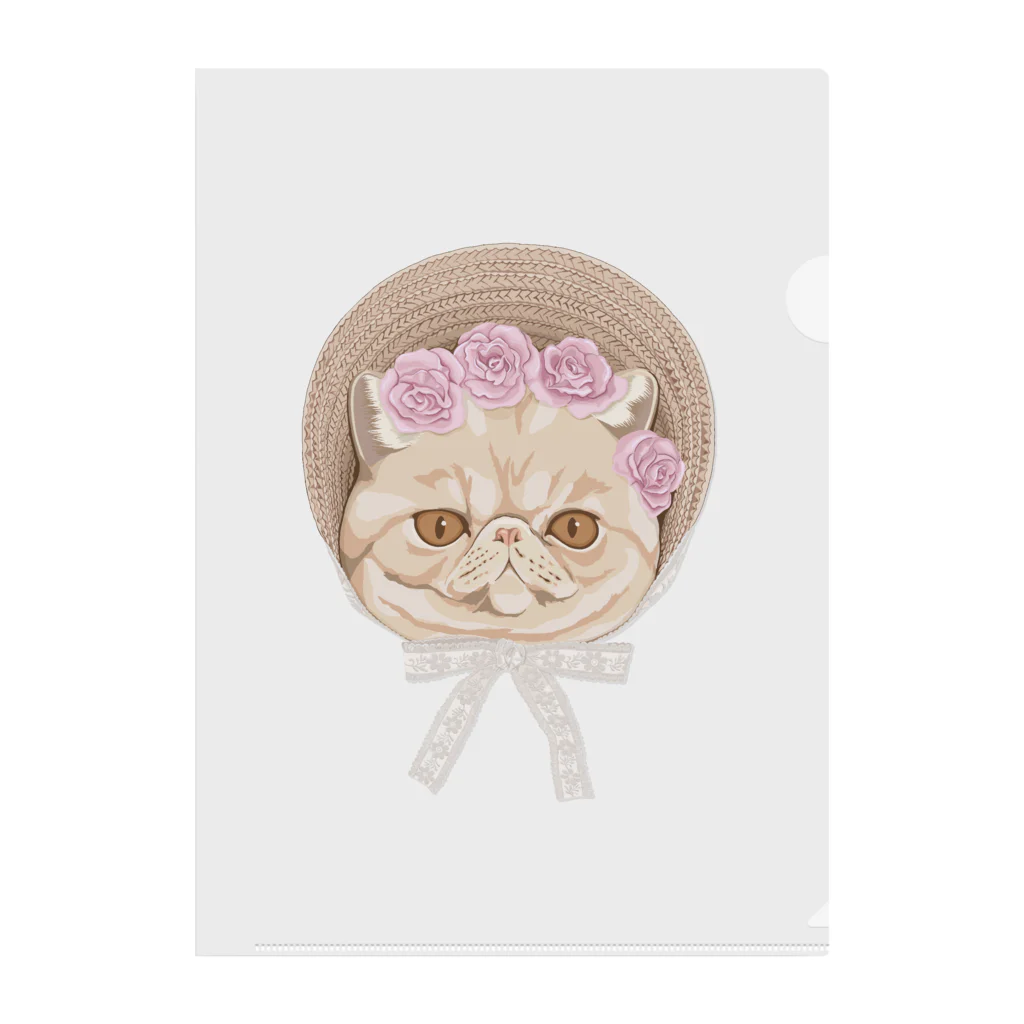 LaminaのExotic shorthair×ボンネット帽 Clear File Folder