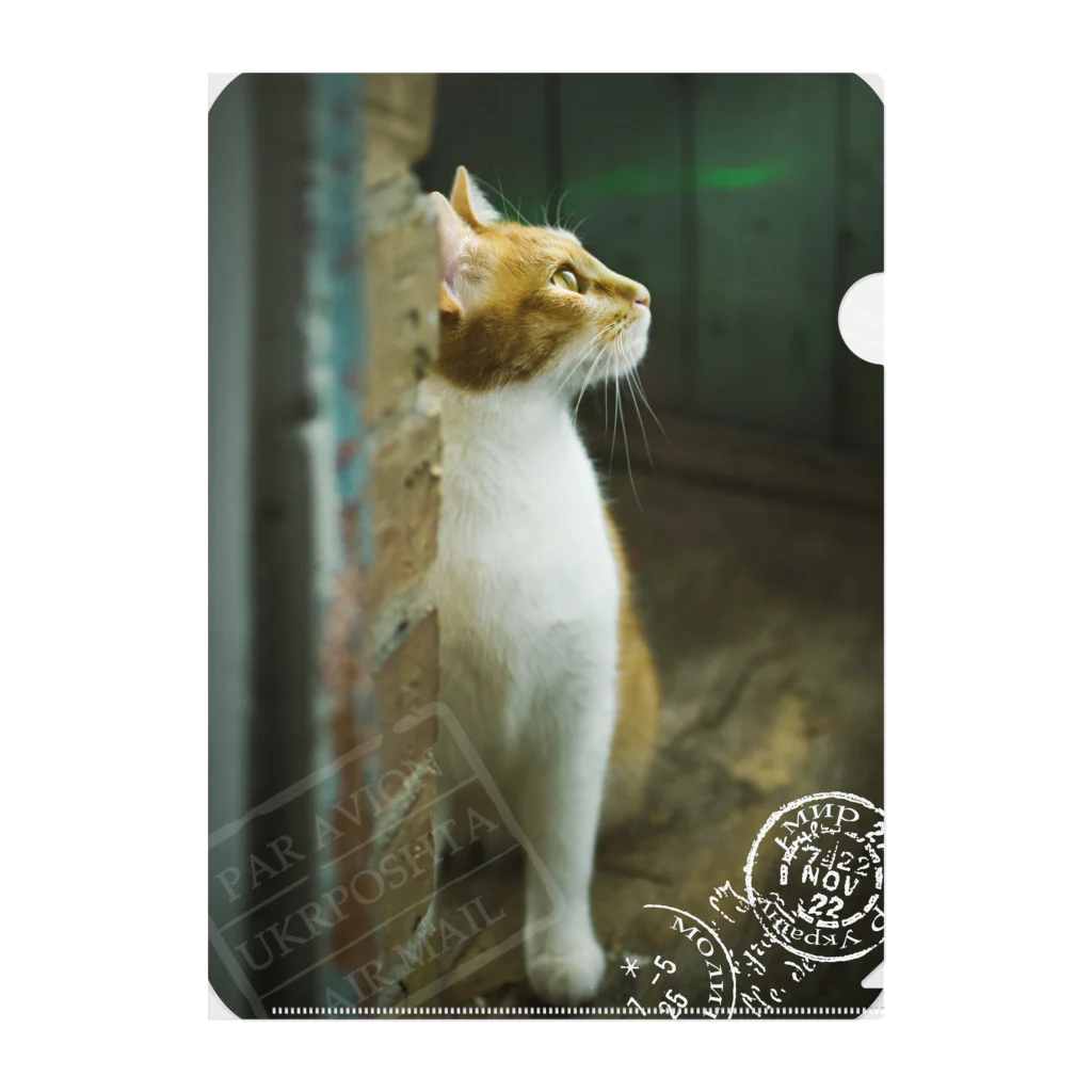海賊猫 cocoのウクライナの猫 MurchikくんとNikotinくん♡ Cats ♡ Ukrainian cats #ウクライナ 本と猫 Donation Items Clear File Folder