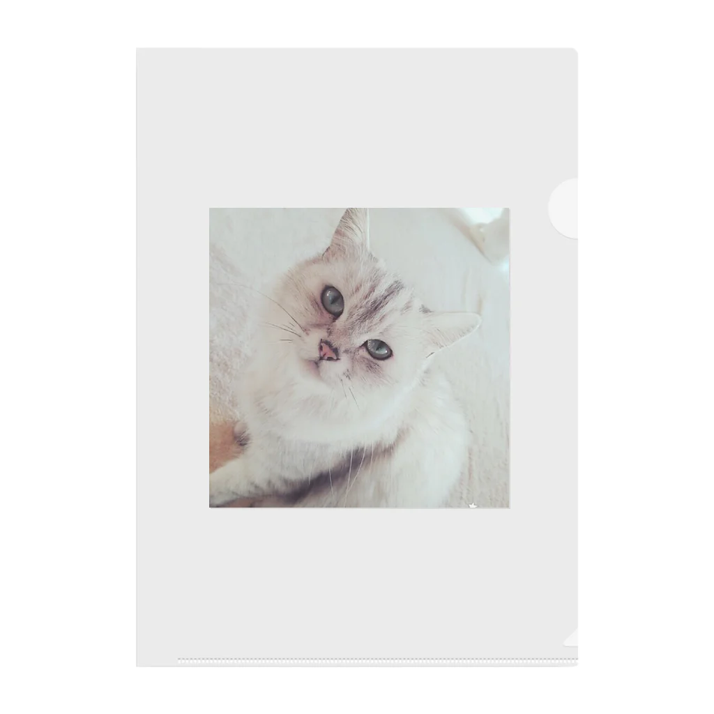 kawaiiの猫 Clear File Folder