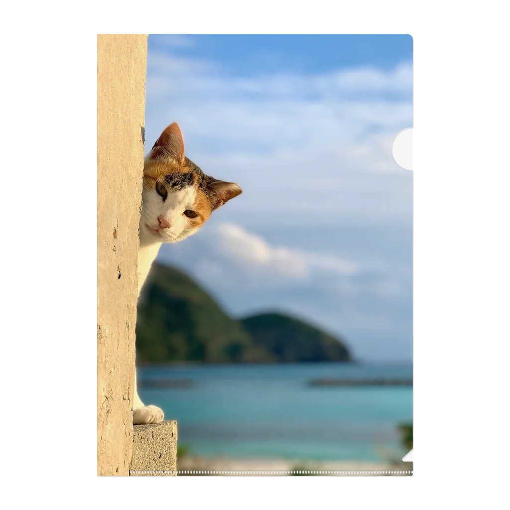 ちょろ母ねこ写真グッズの阿嘉島ねこ2 クリアファイル