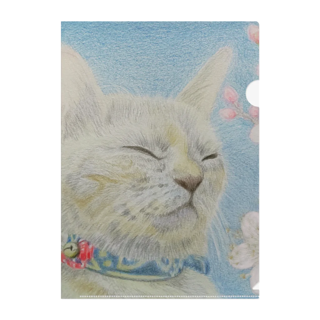 理絵のねこ ぬくぬく Clear File Folder