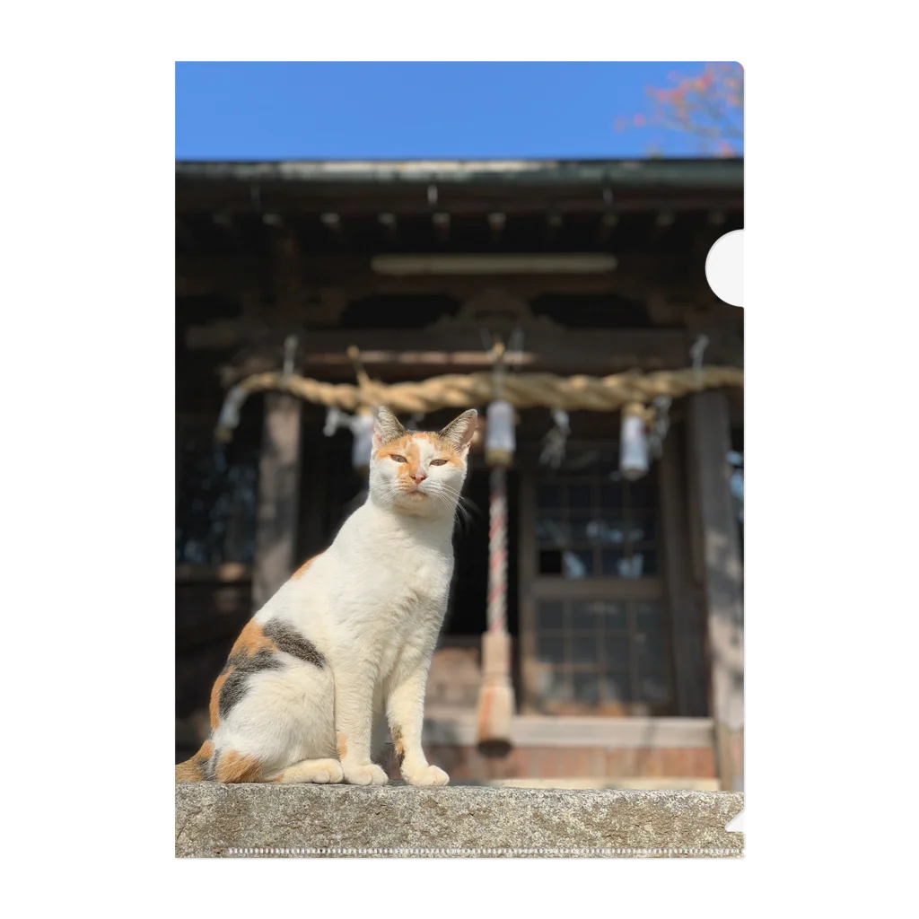 ちょろ母ねこ写真グッズの男木島ねこ1 Clear File Folder