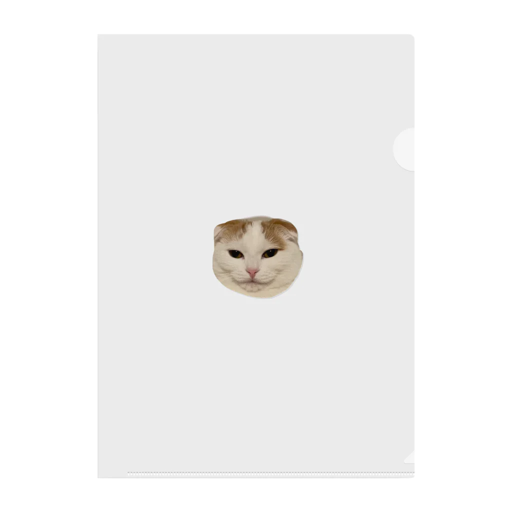 きなこ企画の愛猫きなこのオリジナルグッズ Clear File Folder