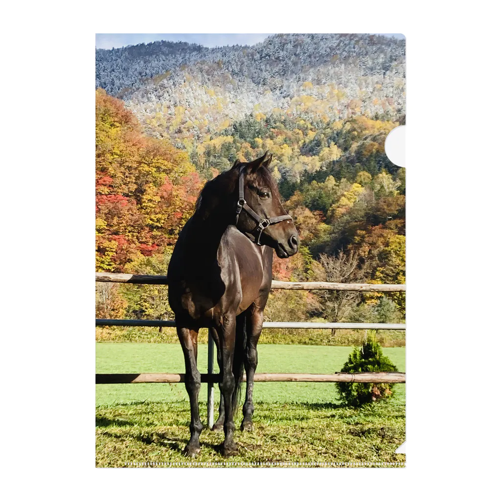 北のうまやの紅葉と初雪と馬　引退競走馬ブラッド Clear File Folder