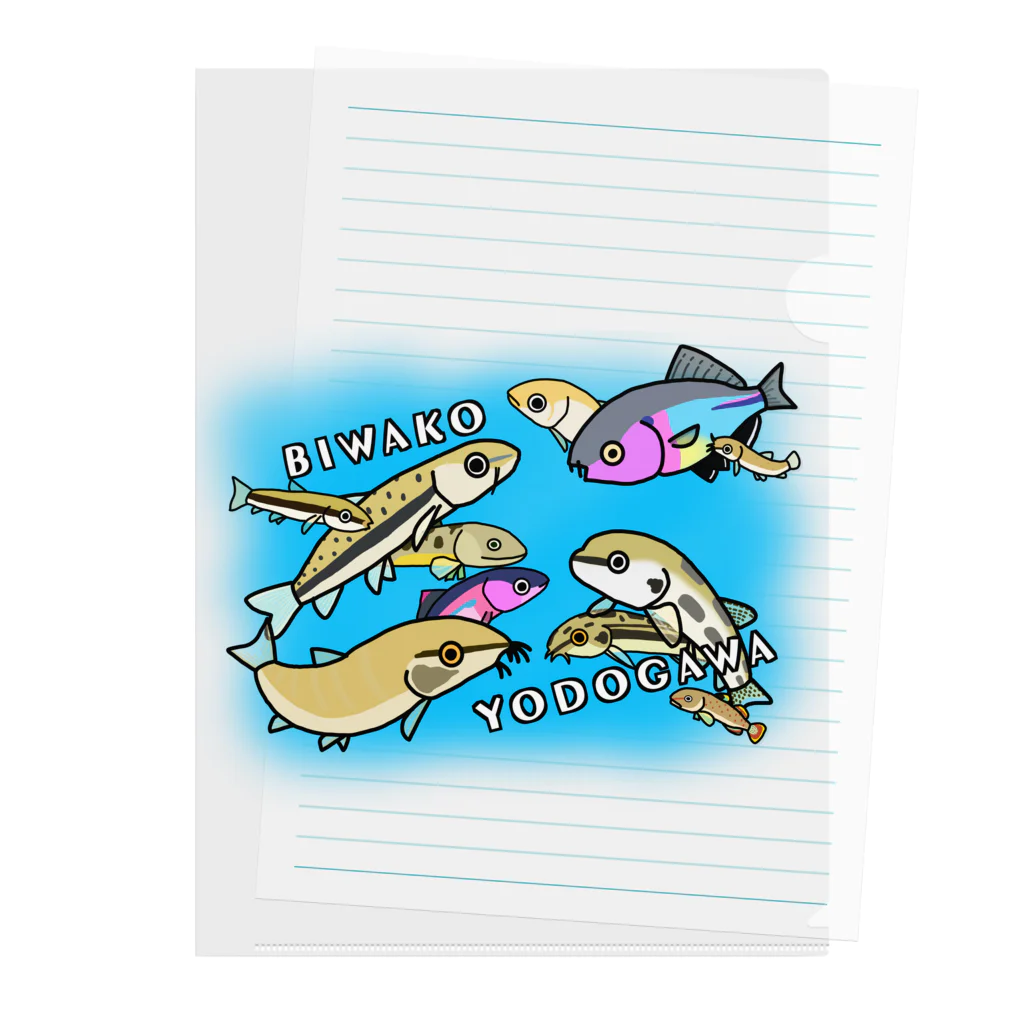 studioaoの琵琶湖淀川水系の淡水魚たち Clear File Folder