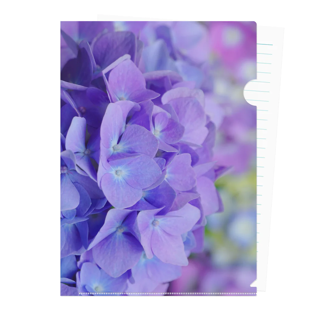Petal N' Featherの紫のシャングリラ クリアファイル