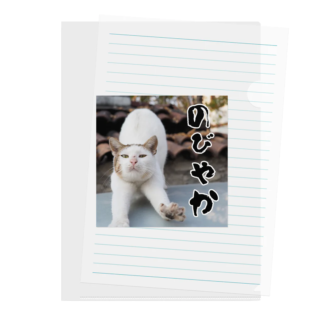 kamashowののびやかな猫 Clear File Folder