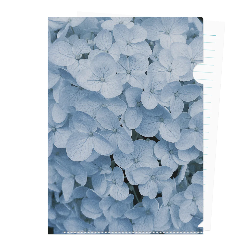 sinの部屋のhydrangea クリアファイル