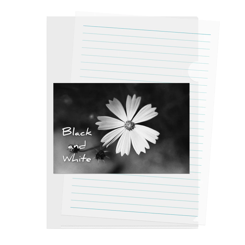 FILM CANERA FANのMONOCHROME FLOWER Clear File Folder