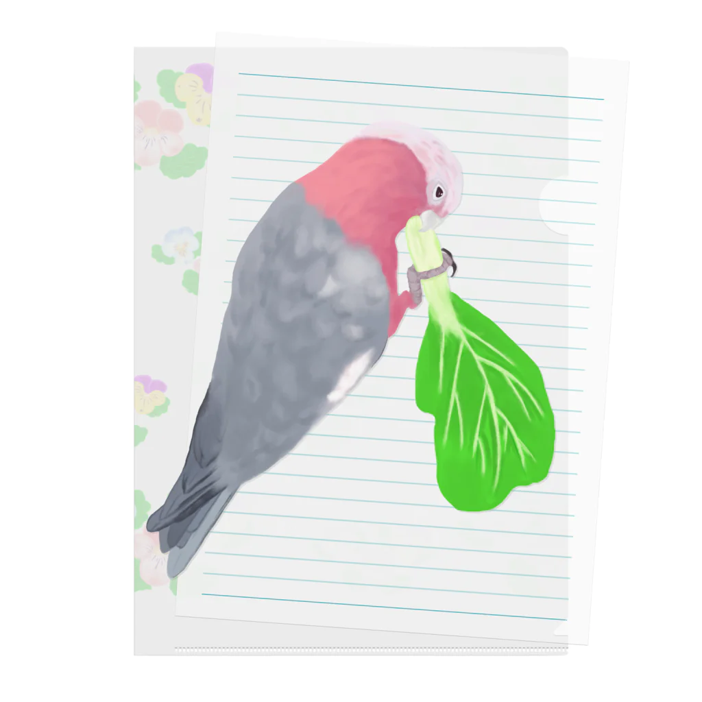 Lily bird（リリーバード）のチンゲン菜食べるモモイロインコ Clear File Folder