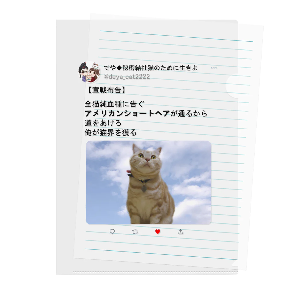 秘密結社猫のために生きよの道をあけろシリーズ　俺が猫界を獲る Clear File Folder