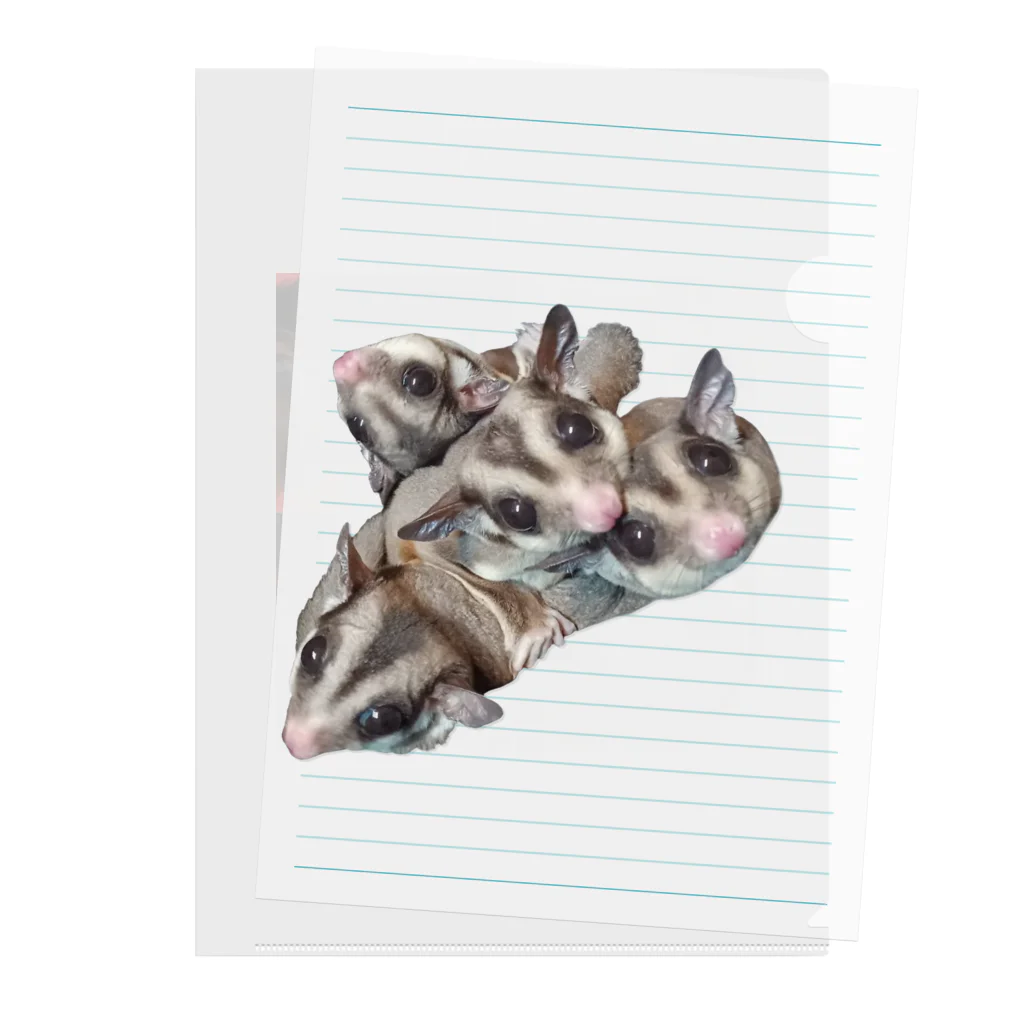 モモンガのしっぽの4 Sugar gliders! ver.3 Clear File Folder