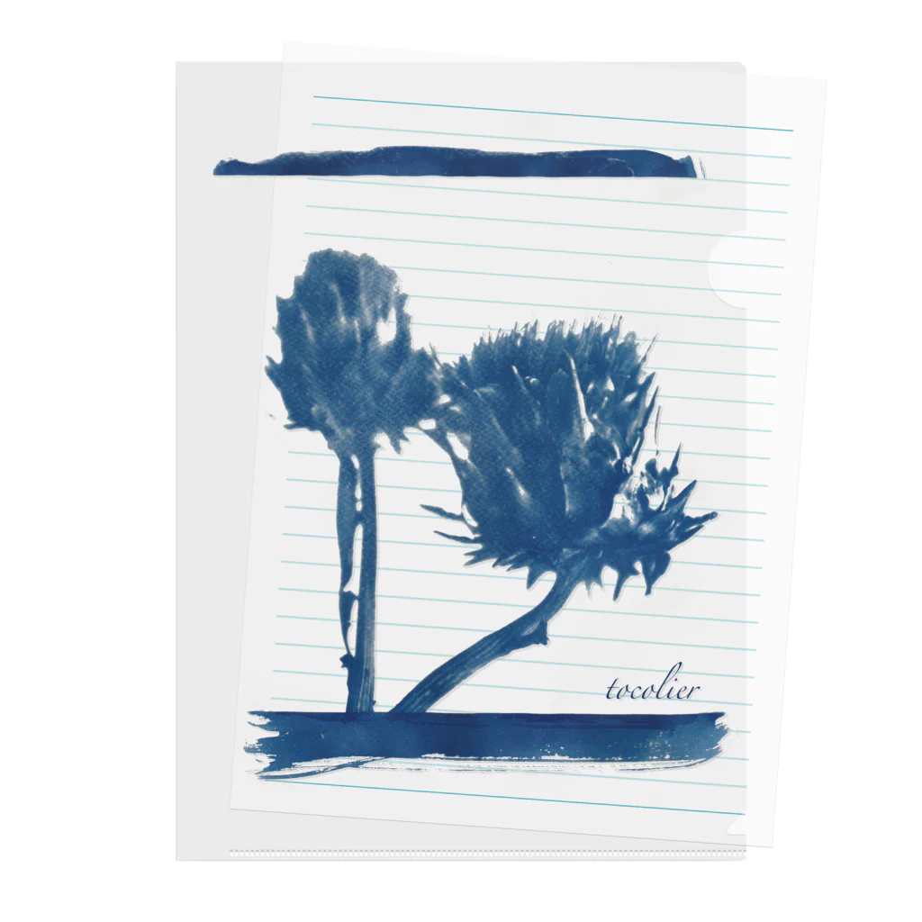 tocolierのCyanotype "artichoke"  Clear File Folder