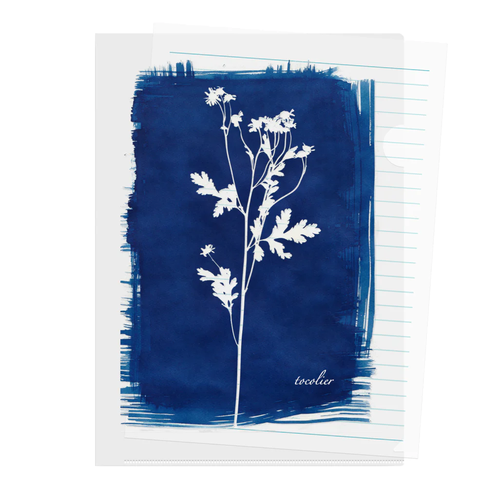 tocolierのCyanotype "matricaria" クリアファイル