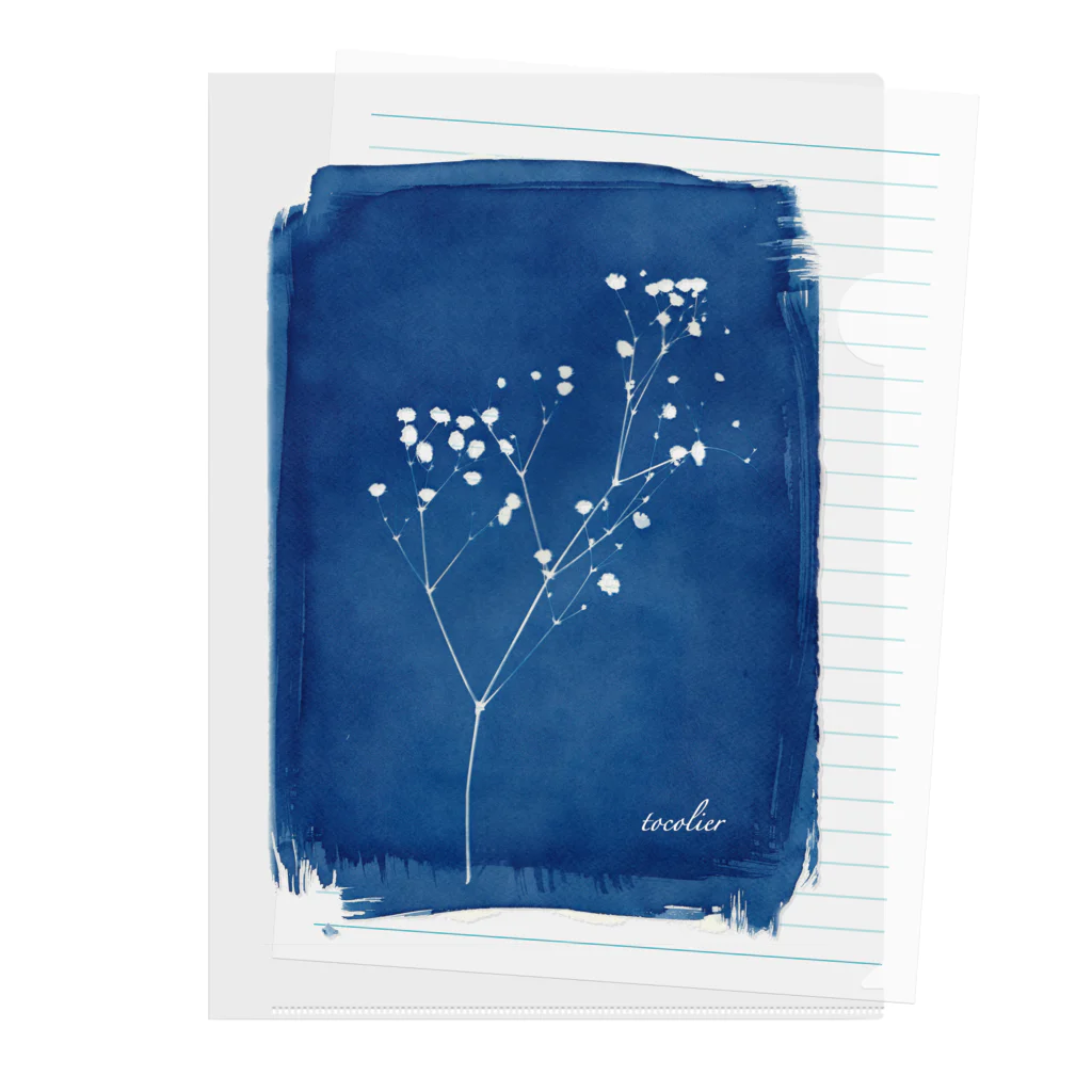 tocolierのCyanotype "gypsophola" クリアファイル