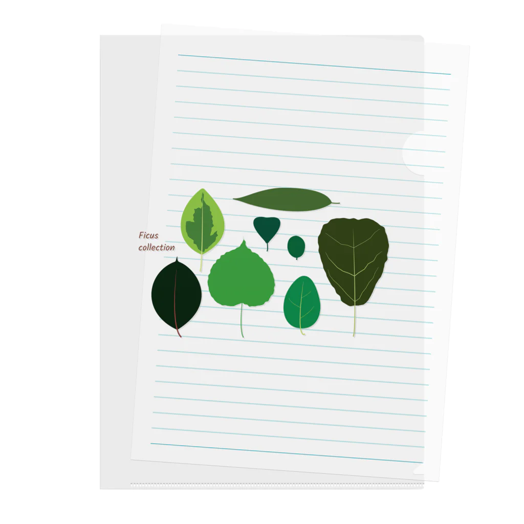 babigon shop on the earth のFicus collection Clear File Folder