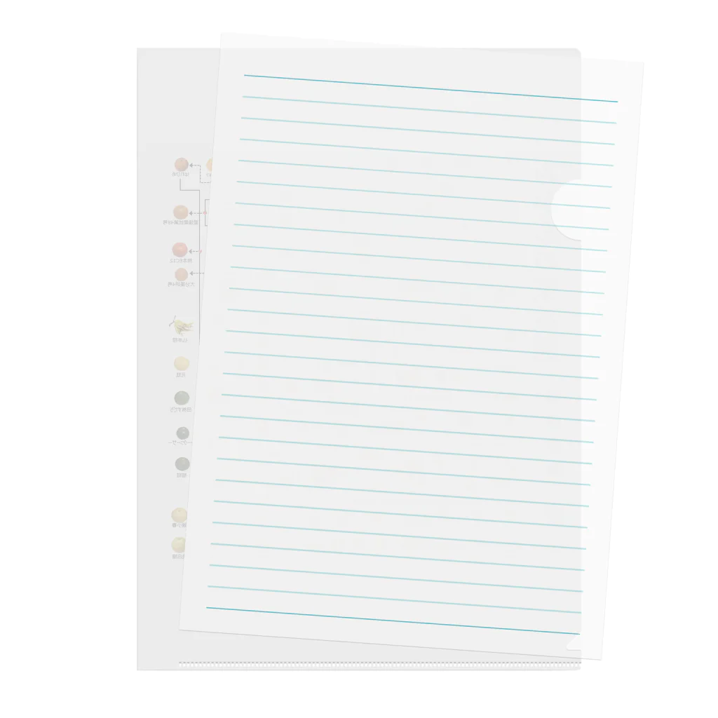 みかんノートのみかんの家系図 Clear File Folder