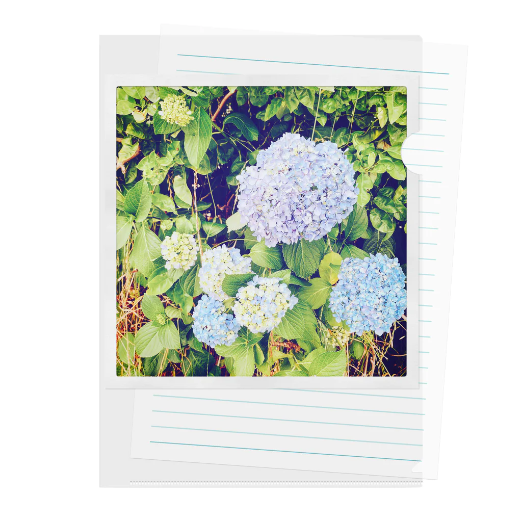 blancillaの染まりゆく花 Clear File Folder