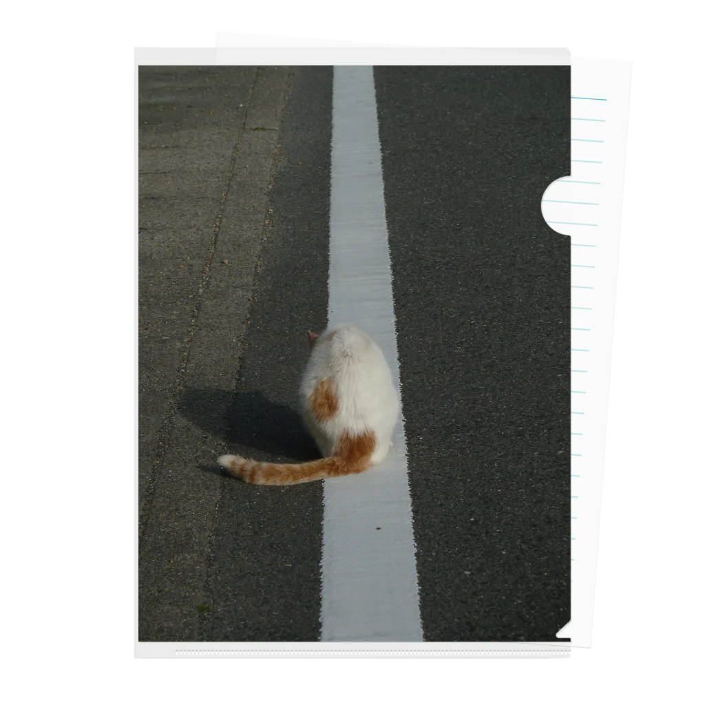 僕の撮る猫は可愛くないのNora Clear File Folder