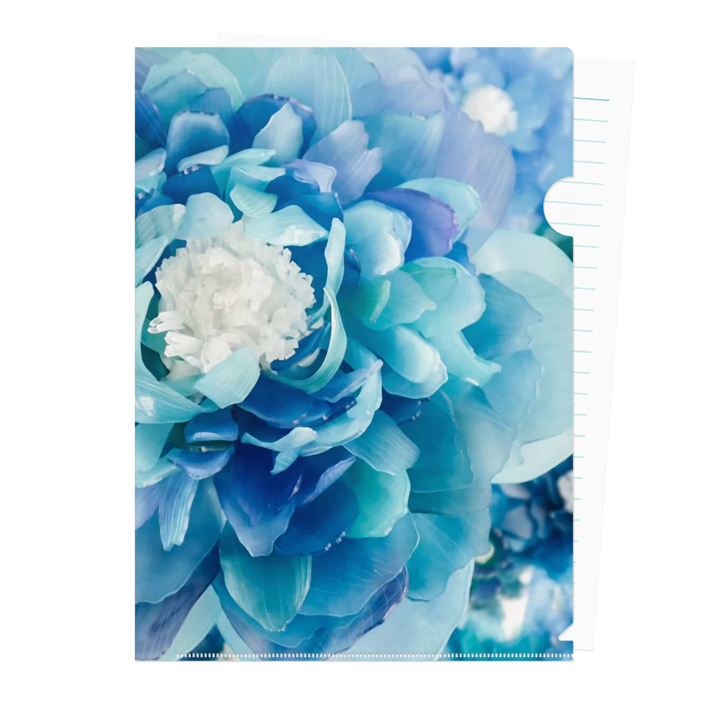 しばさおり jasmine mascotの青い花 Clear File Folder