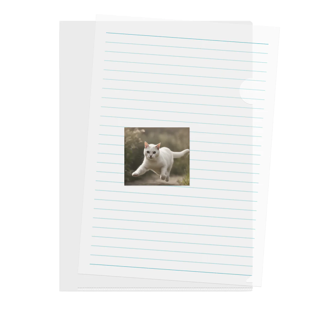 TAIYO 猫好きのフォトプリント美形白猫 Clear File Folder