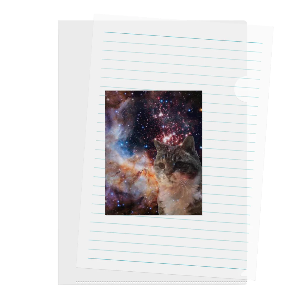 実家のうさぎの宇宙猫ミルク Clear File Folder