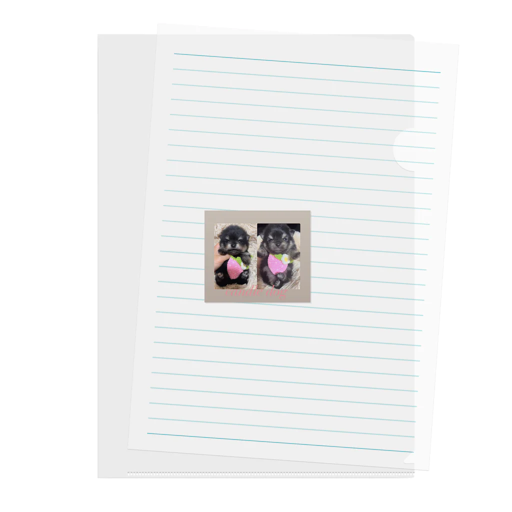 キャンドルドックの可愛いブラックタン兄弟 Clear File Folder