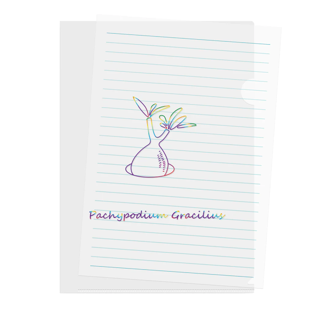 y_s_k_のPachypodium Gracilius Clear File Folder