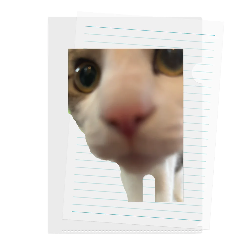 いやし猫　ふぁにーきゃっとのいやし猫　無限ちゃん Clear File Folder