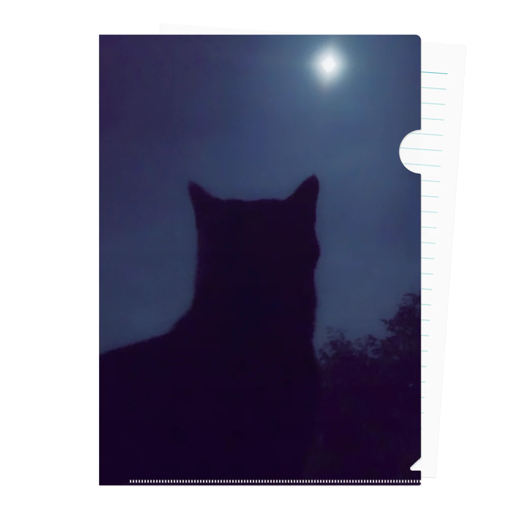 znd__の猫と月。 クリアファイル