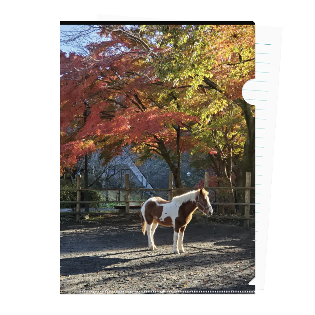 Naka3KOUMUTENの紅葉とポニー Clear File Folder