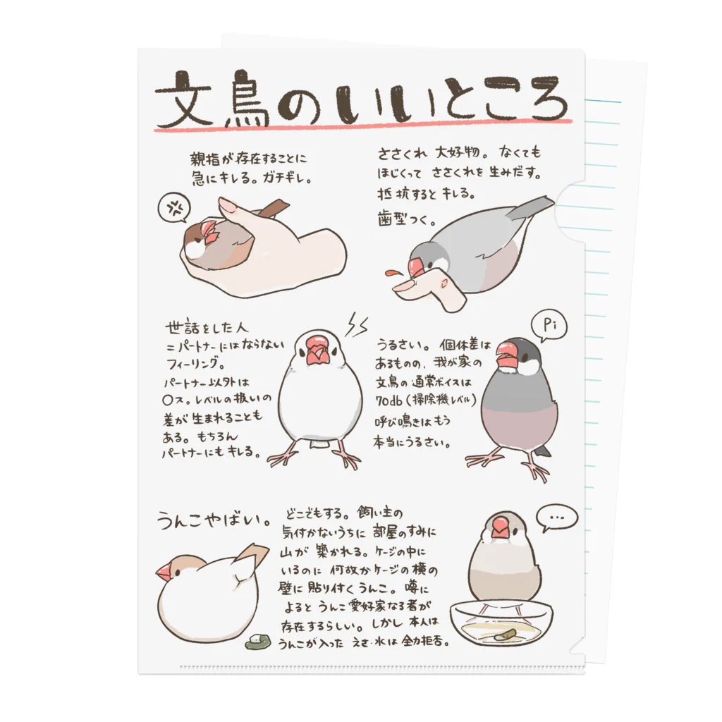 fukufukudo_514の文鳥のいいところ クリアファイル