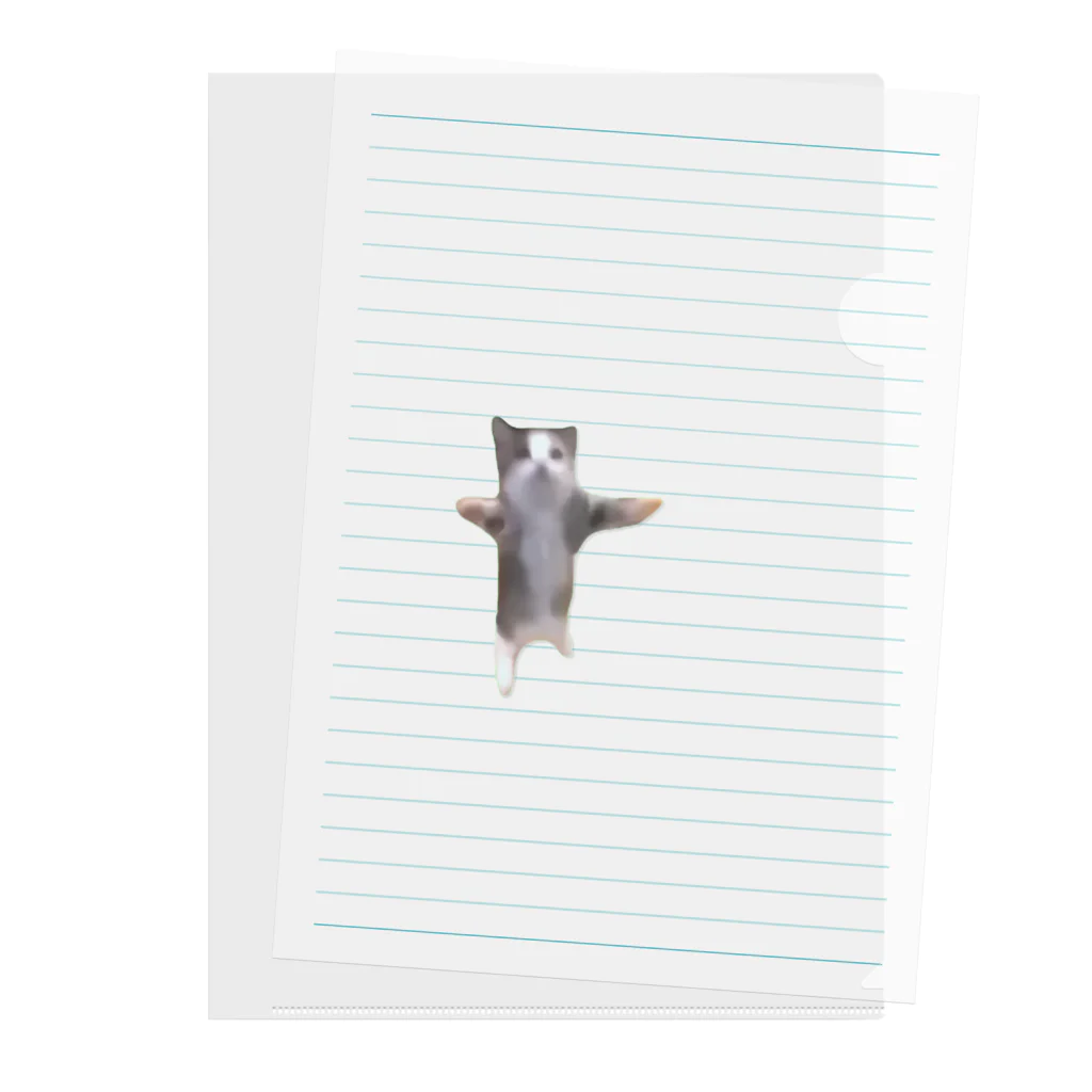 猫ミームグッズの【猫ミーム】Happy Happy Cat Clear File Folder
