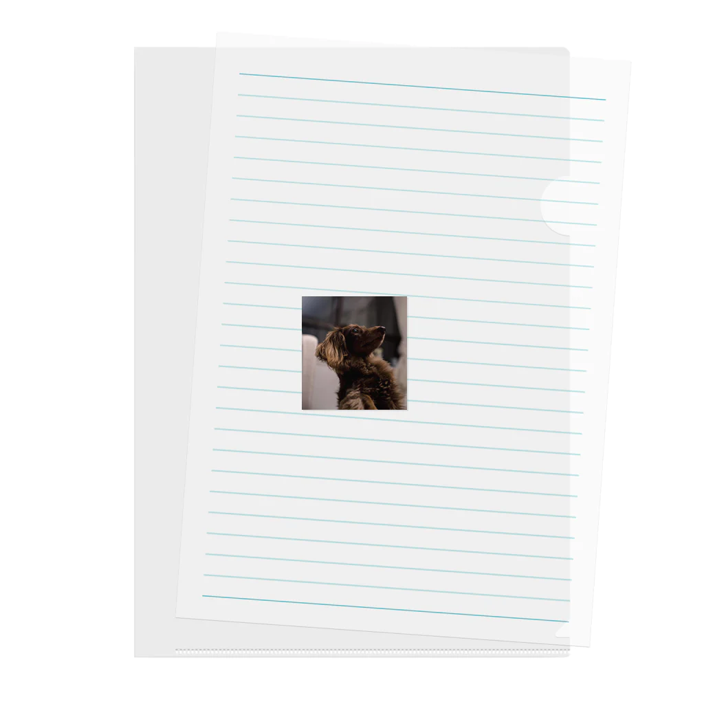 マリアの愛犬マリア かわいい Clear File Folder