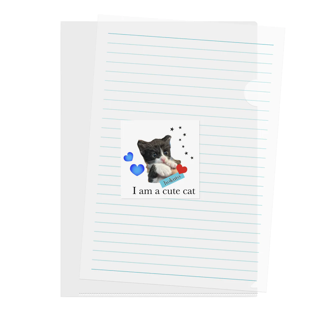 ラブリーピンクの子猫のほくと君 Clear File Folder