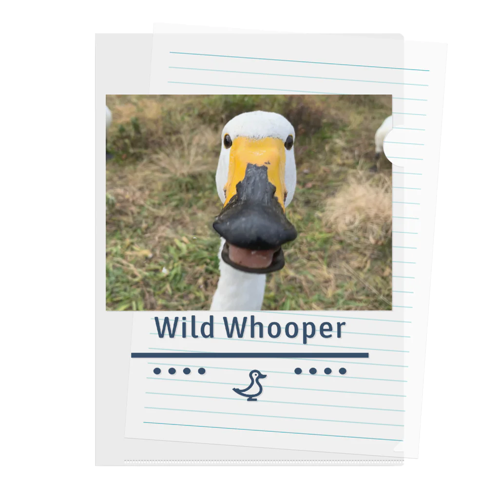 wild whooper (白鳥堂)の白鳥（目が合った) Clear File Folder