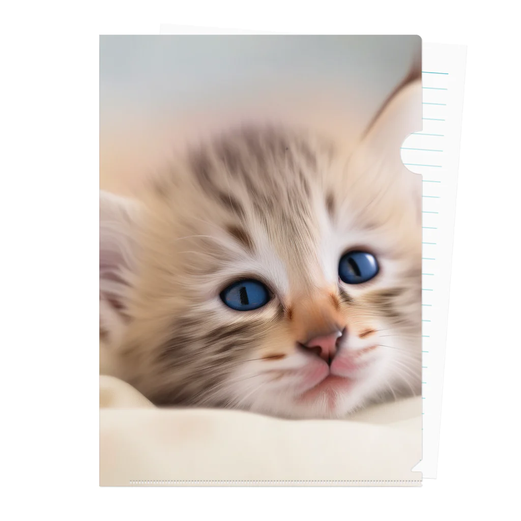 ks-staffの😺癒し猫シリーズ💖 Clear File Folder