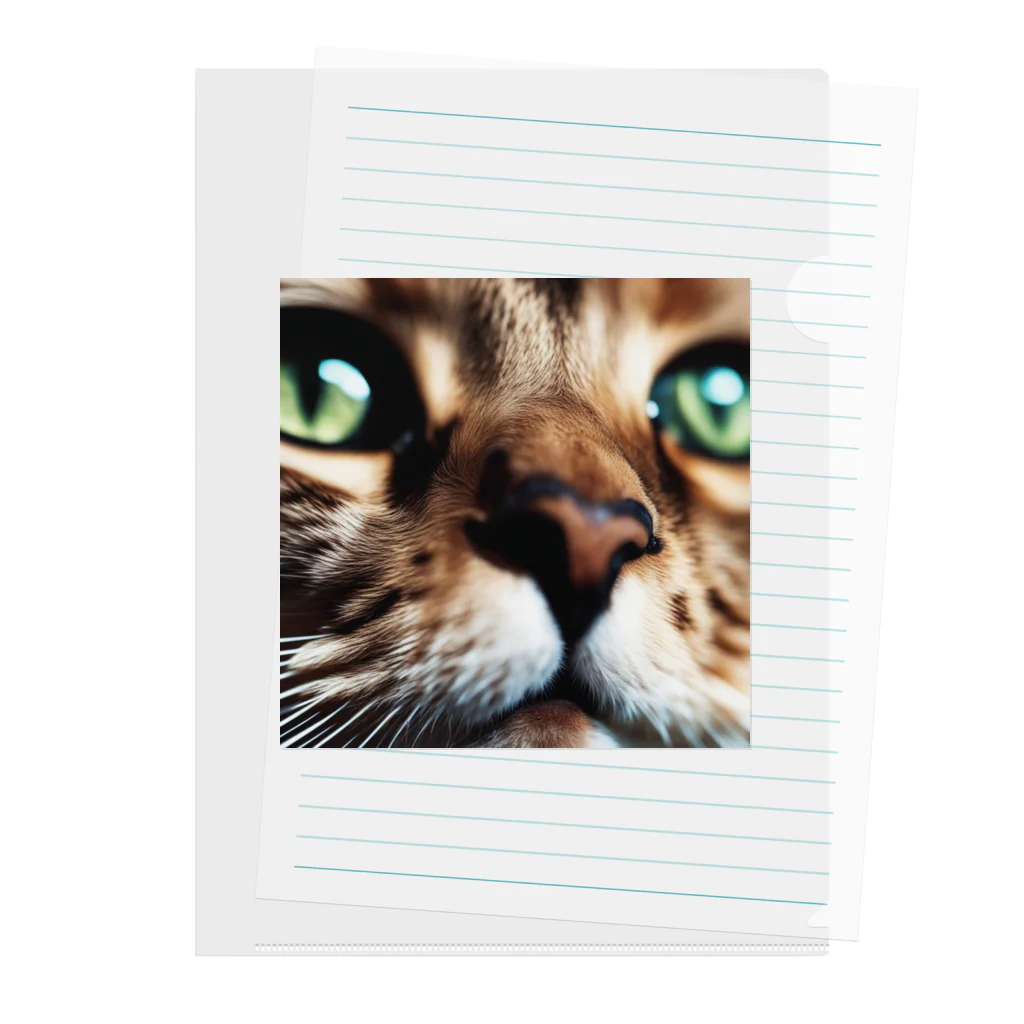 feliceのキャットフードの匂いに反応する猫 Clear File Folder