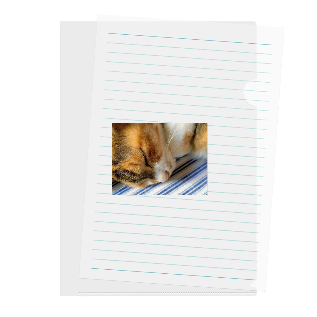 ねこちゃんが大好きなのです。の愛猫れいにゃんのグッズ Clear File Folder