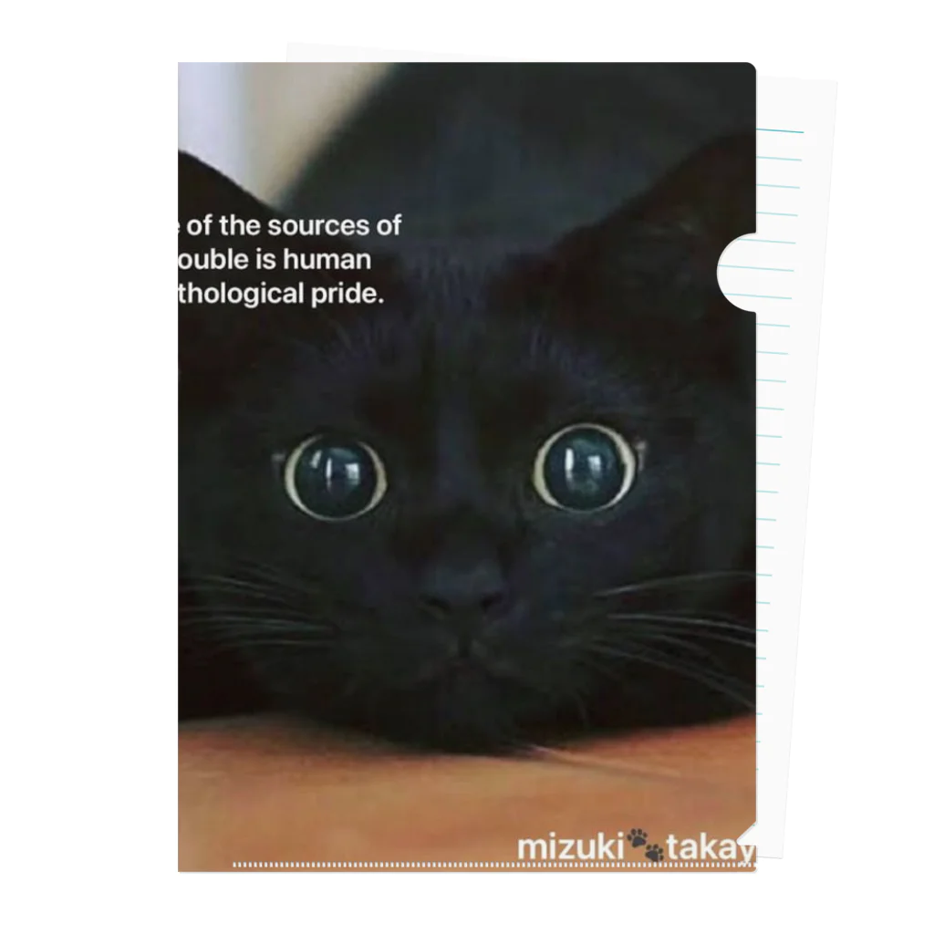 Mizuki・ASIA CATのまんまるめ黒猫さん クリアファイル