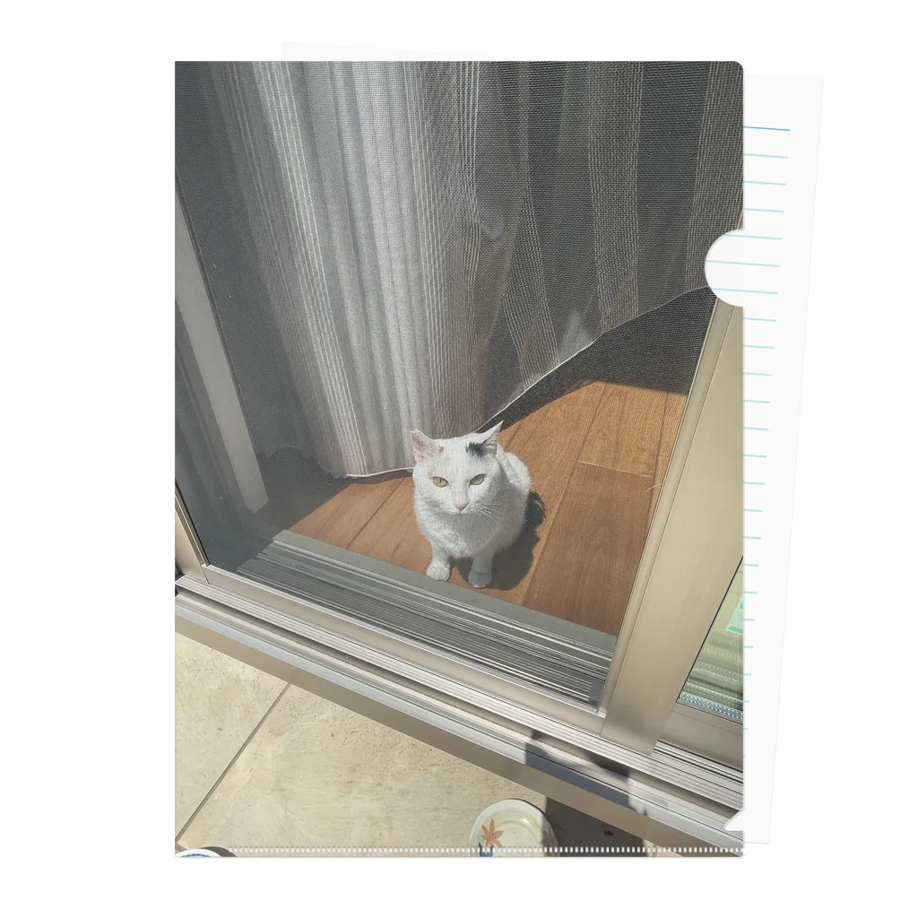 ねこやまさんの外をみるすず Clear File Folder