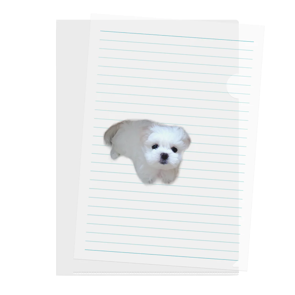 のののののミルクが家族になった日🐶 Clear File Folder