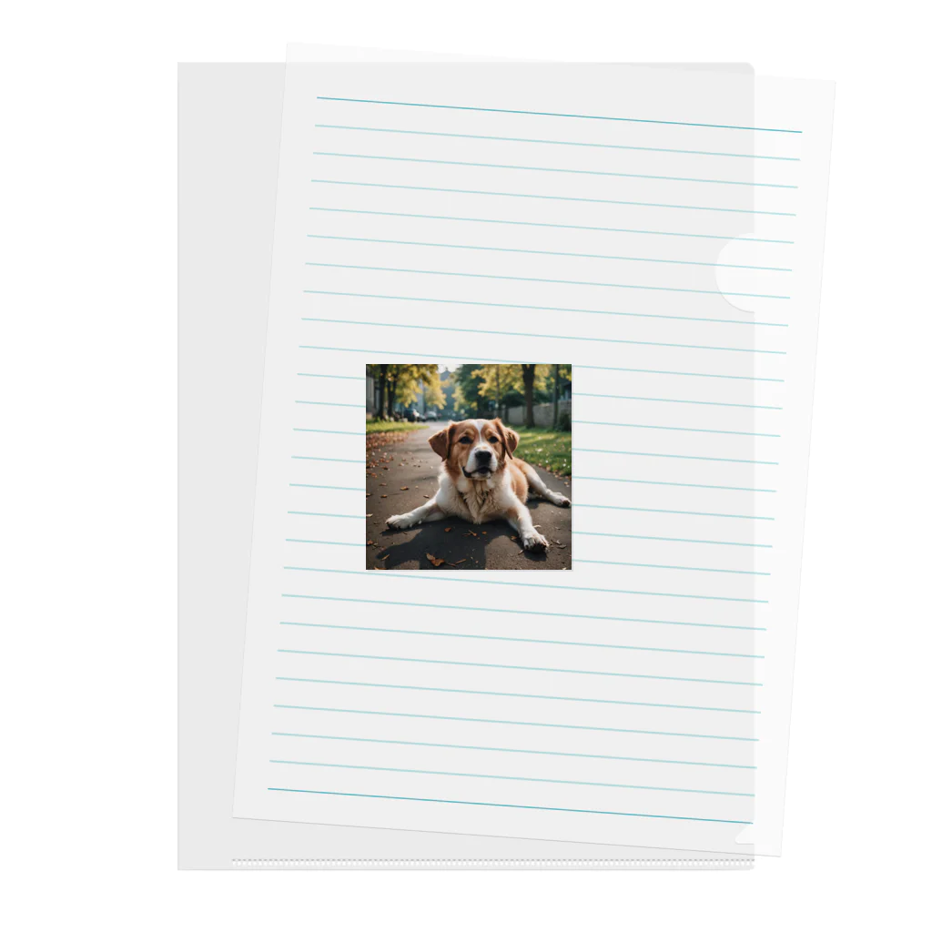 kokin0の足を広げて座る犬 Clear File Folder