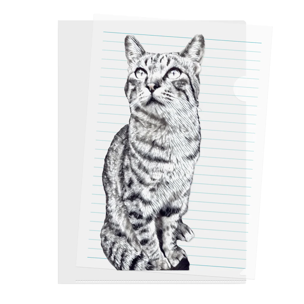 ちばっちょ【ち畳工房&猫ねこパラダイス】のトラ猫トラ君 Clear File Folder