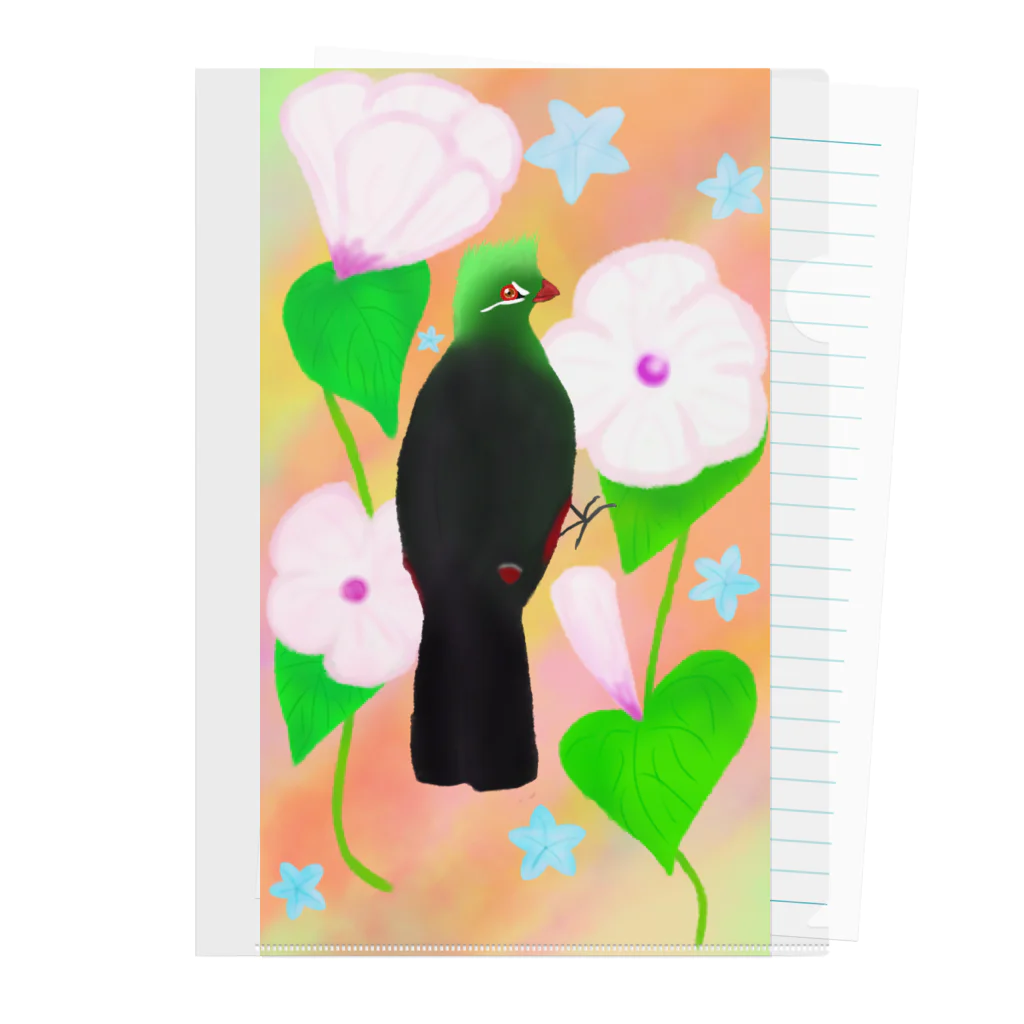 Lily bird（リリーバード）の見返り美鳥（ギニアエボシドリ）カラフル背景② クリアファイル