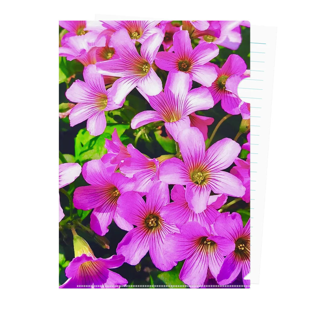 LalaHangeulの野の花シリーズ　道端の花 Clear File Folder