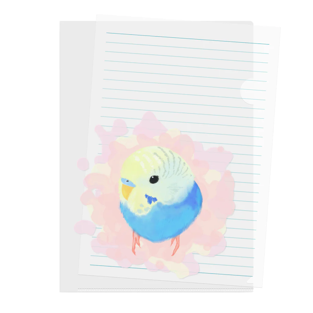 まめるりはことりのまるまるセキセイインコ【まめるりはことり】 Clear File Folder